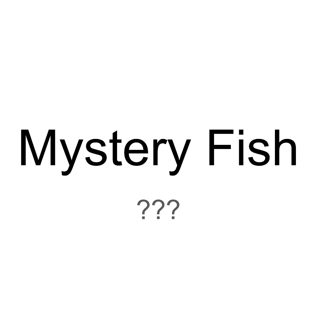 Mystery Fish