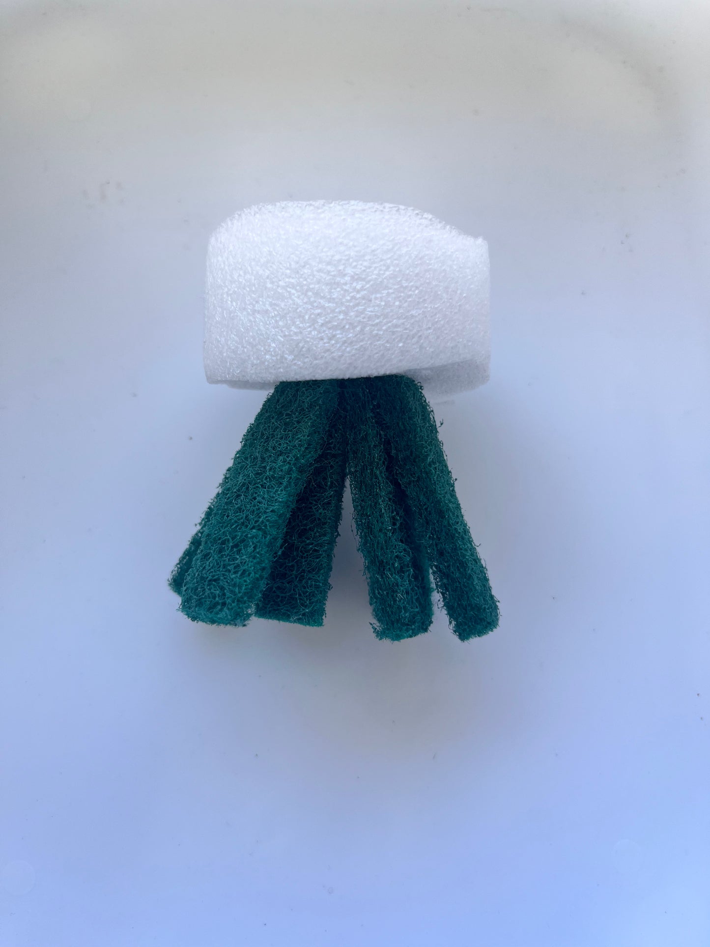 Rice Fish Spawning Mop