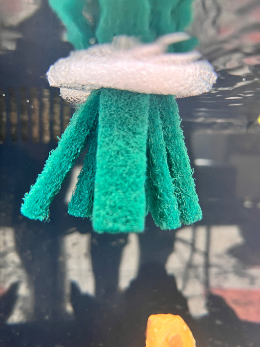 Rice Fish Spawning Mop
